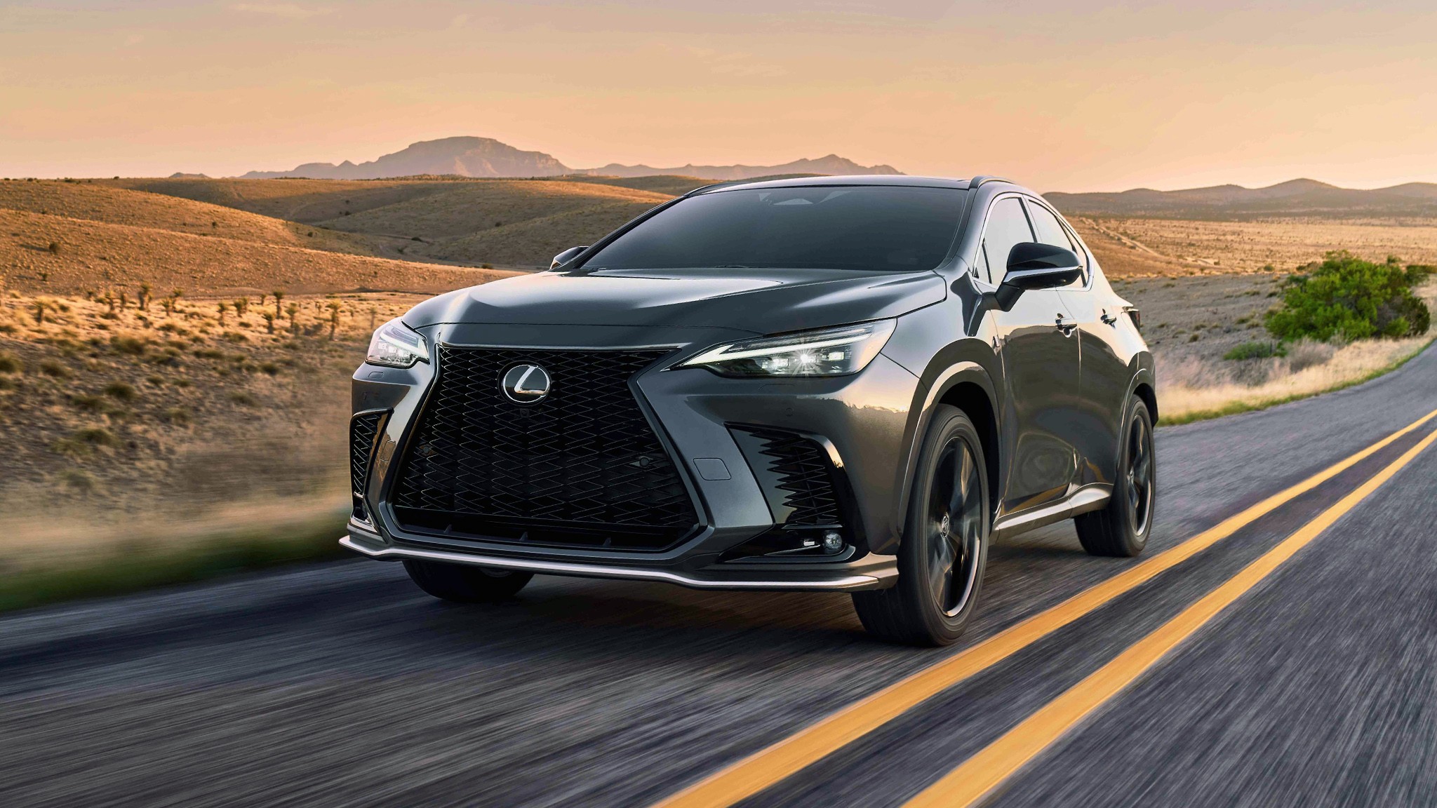 2025 Lexus NX