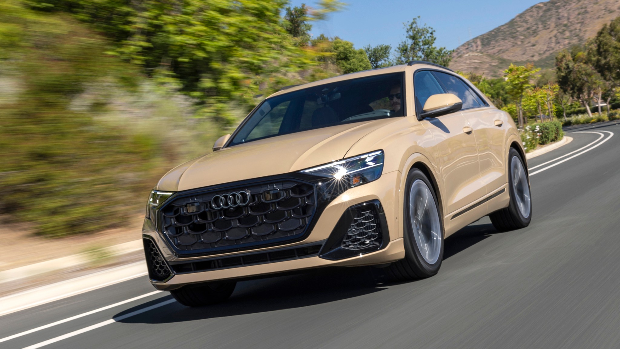 2026 Audi Q8